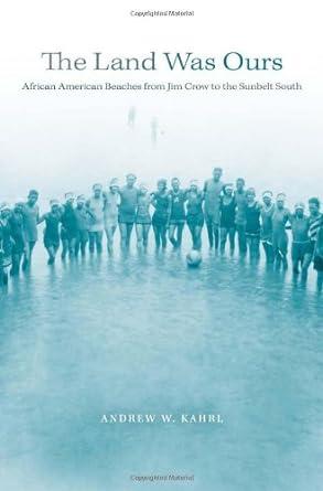 African American Beaches from Jim Crow to the Sunbelt South